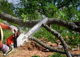 Mulching Services in Gleneagle, CO